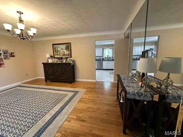 1003 Mallow Dr - Photo 3 of 13
