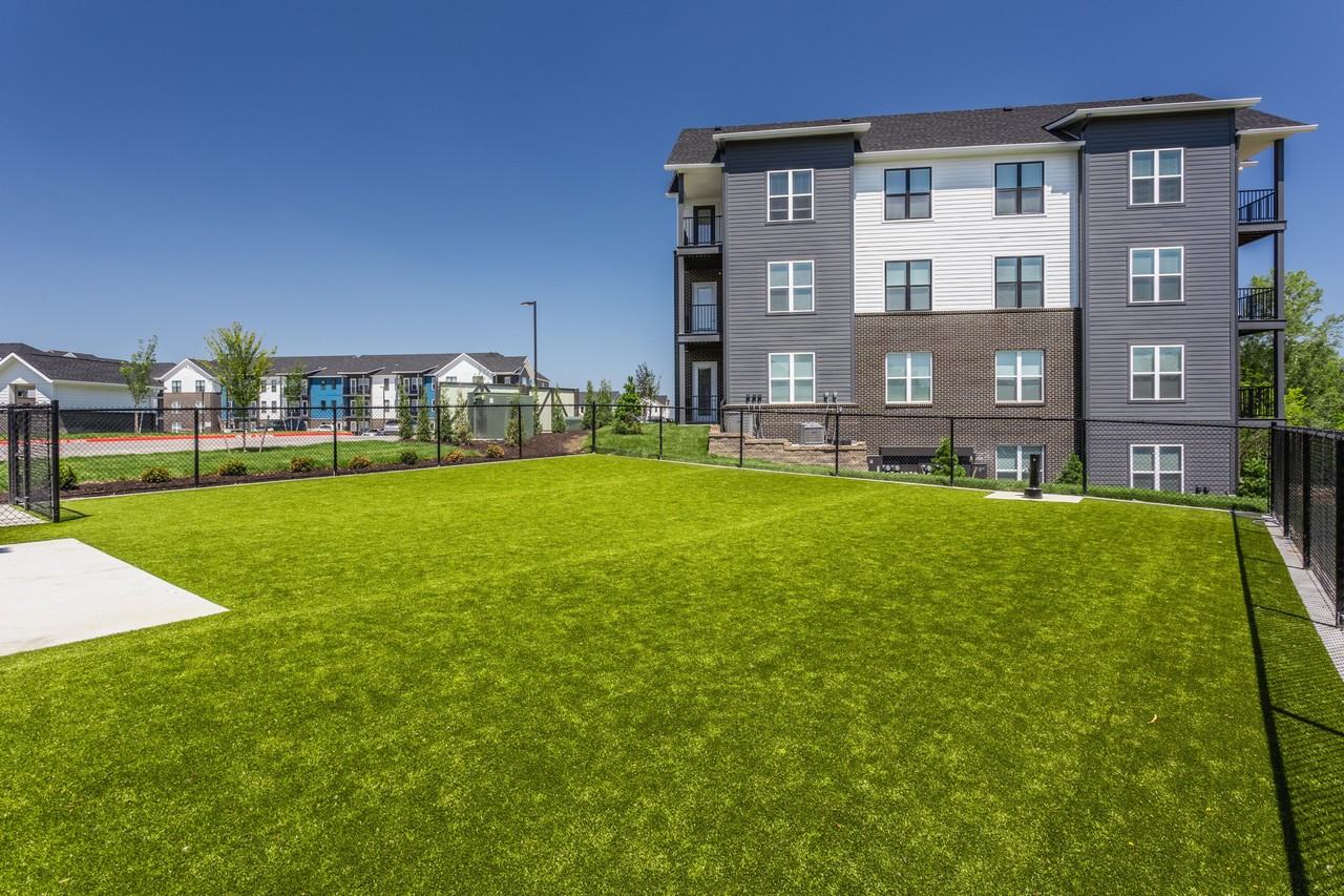 Switch Apartments - Photo 6 of 50