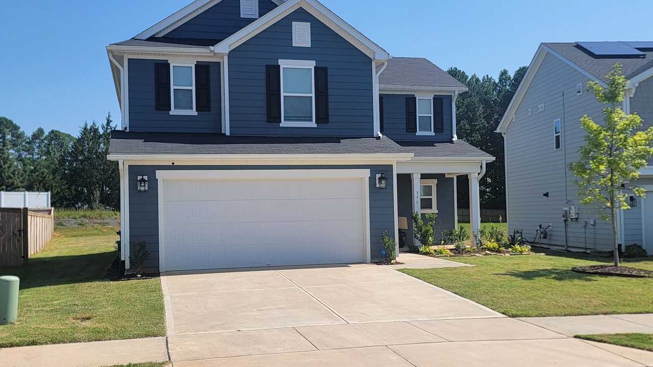 330 Purple Aster St