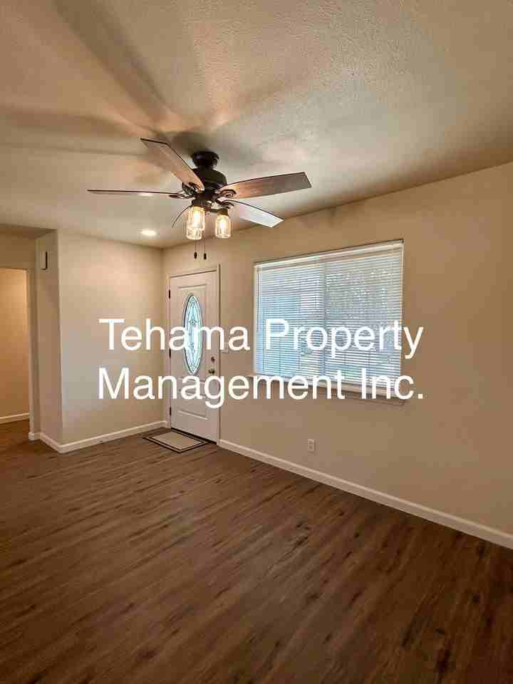 740 Larie Ln - Photo 3 of 20