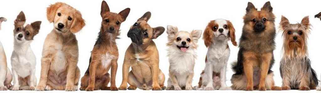 4086 B Street - Photo 4 of 30