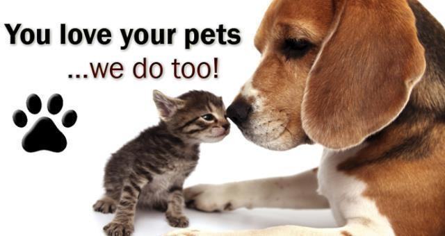 4086 B Street - Photo 6 of 30