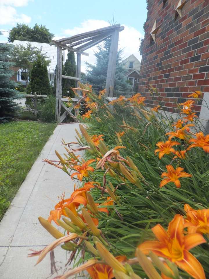 154 Graham Street - Photo 2 of 16