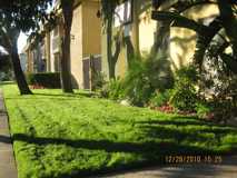 18555 Burbank Blvd Apartments - Photo 1 of 1