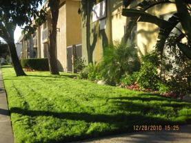 18555 Burbank Blvd Apartments - Photo 1 of 1