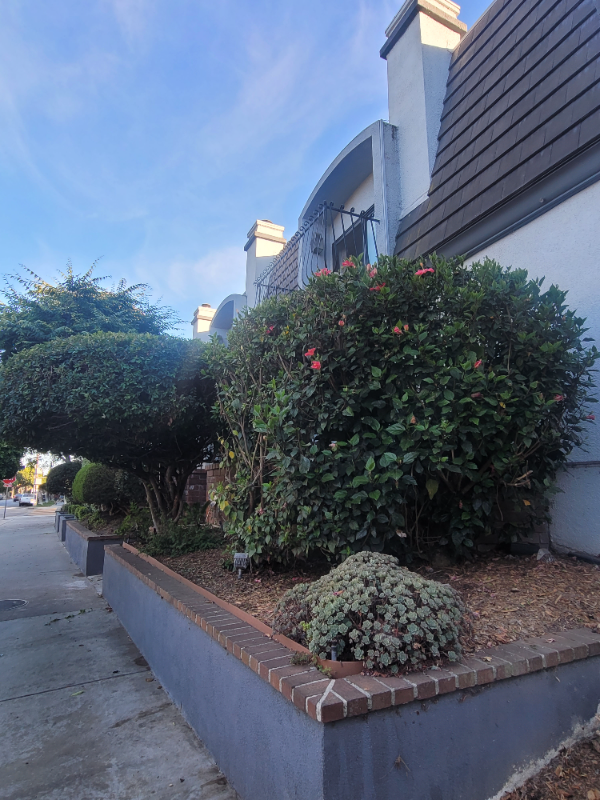 8105 Redlands St - Photo 3 of 12