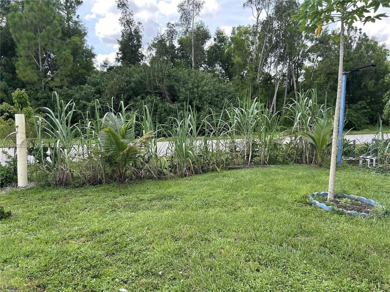 2702 Robin Ave S #2702 - Photo 7 of 7