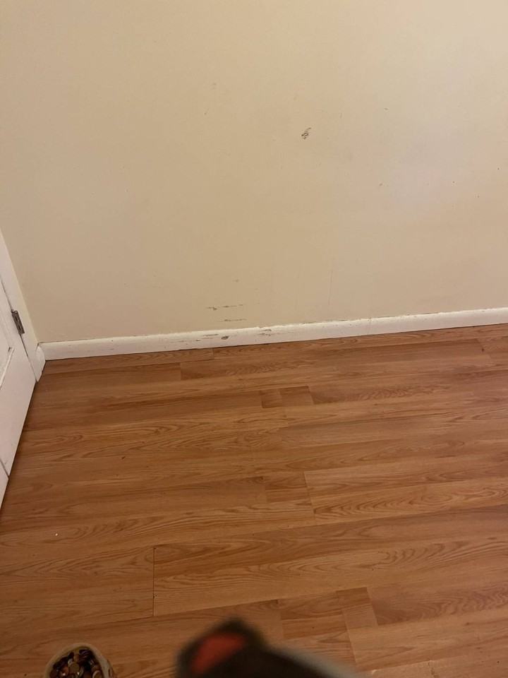 735 Cranford Ave - Photo 4 of 8