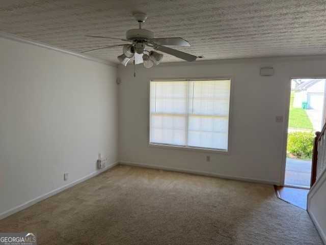 6902 Malvern Ct - Photo 4 of 8