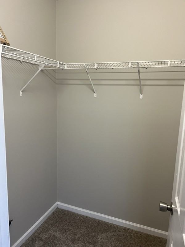 4708 Tumbleweed Ct - Photo 3 of 19