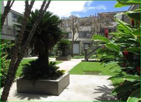 featured image of 98 310 Kamehameha Hwy