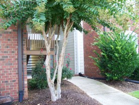 513 Meadowland Ct - Photo 1 of 1