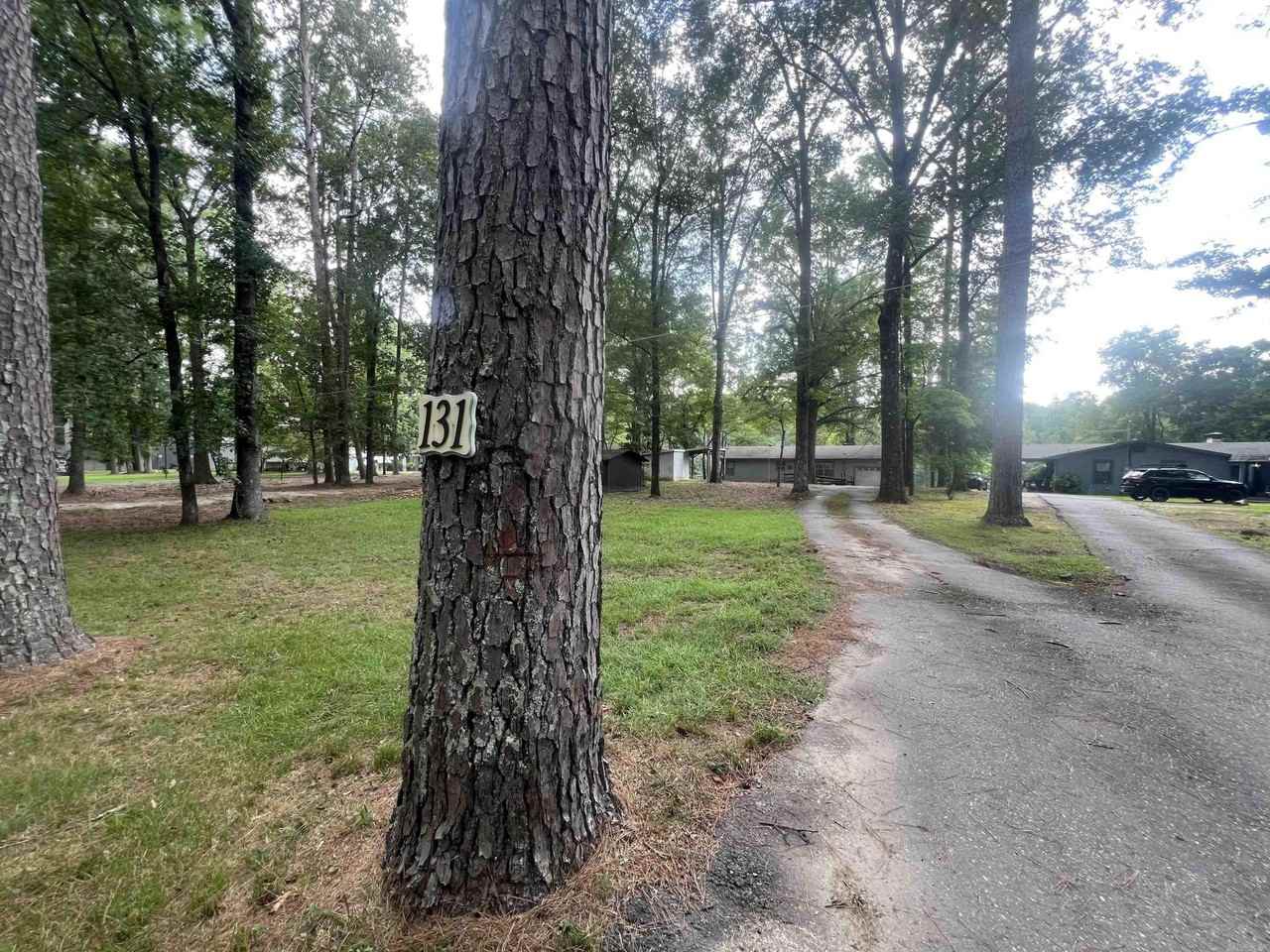 131 Snug Harbor Circle - Photo 4 of 29