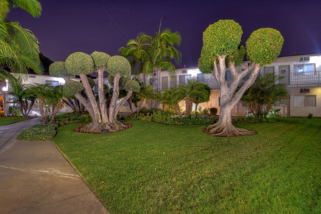 WESTERNER - Photo 2 of 3