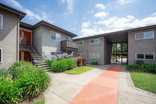 Oliva Apartments - Photo 1 of 1