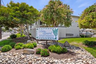 Bay Laurel - Photo 1 of 1