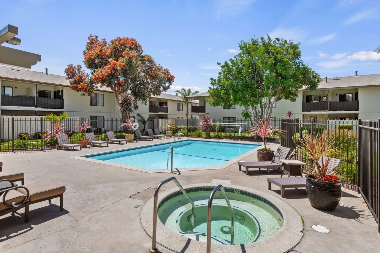 Bay Laurel - Photo 2 of 4