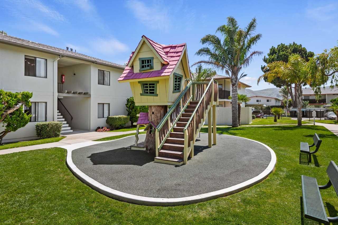 Bay Laurel - Photo 3 of 4