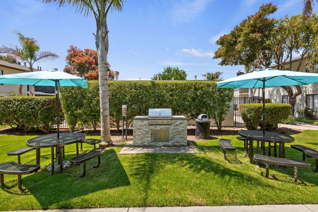 Bay Laurel - Photo 4 of 4