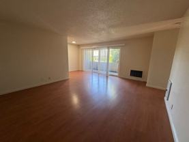 38845 Bell St #206 - Photo 1 of 1