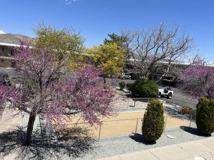 250 250 - Photo 1 of 1