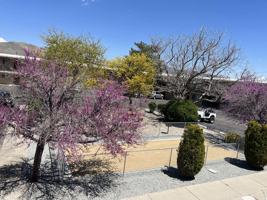 featured image of 250 250