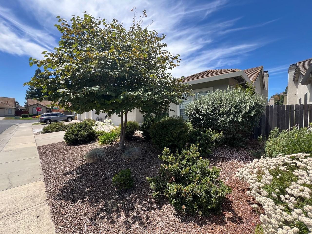 8988 Sierra Nevada Way - Photo 2 of 47