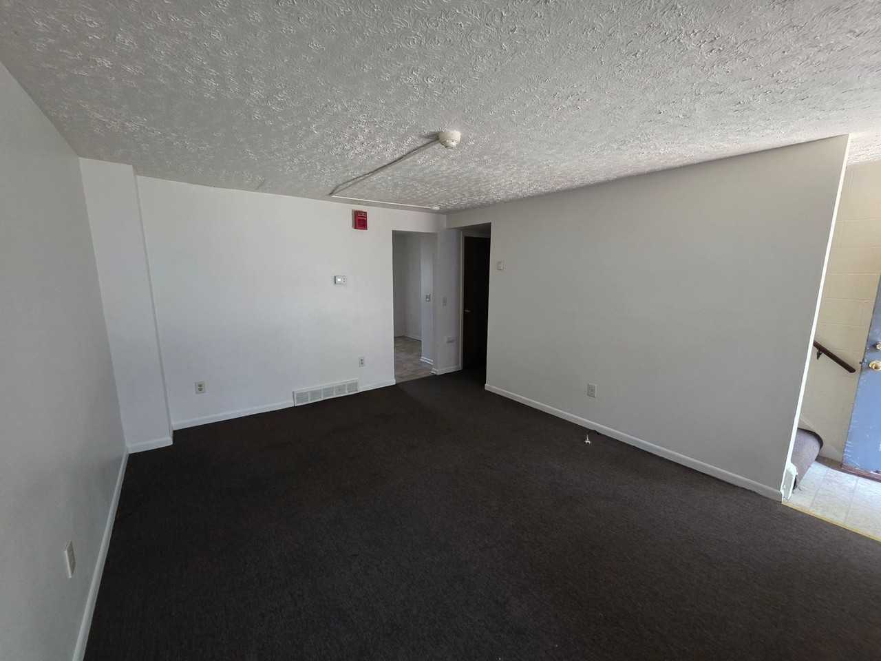 165 Atkinson St #6 - Photo 6 of 14