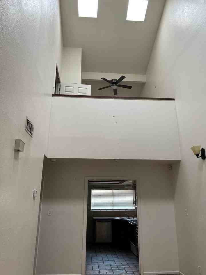 3905 Scott Street - Photo 3 of 21