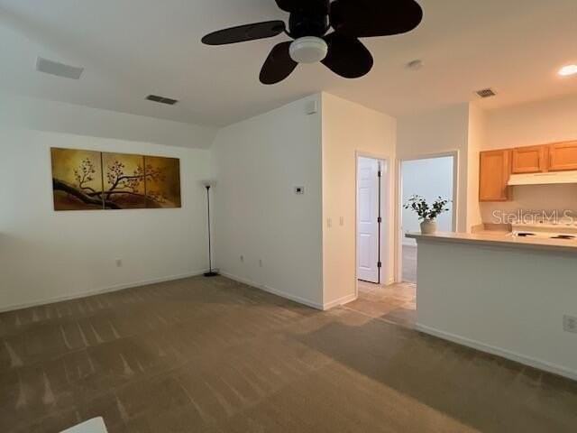 947 Spring Park Loop #B - Photo 6 of 10