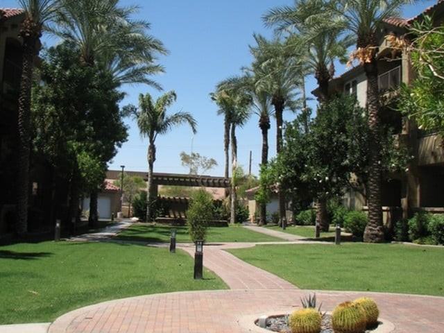 Bela Flora - Photo 2 of 37