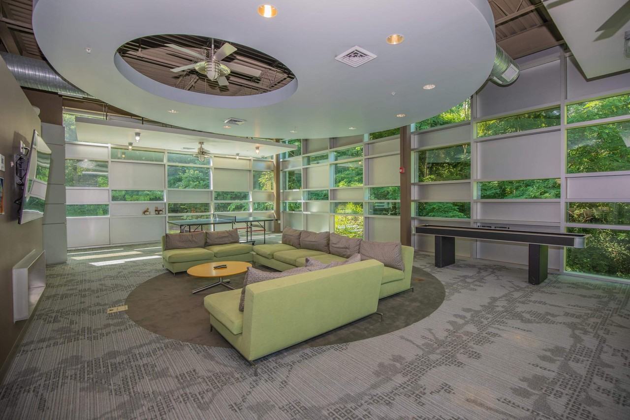 Bloom Apartments - Photo 4 of 50