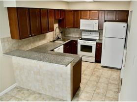 335 Elan Ct - Photo 1 of 1