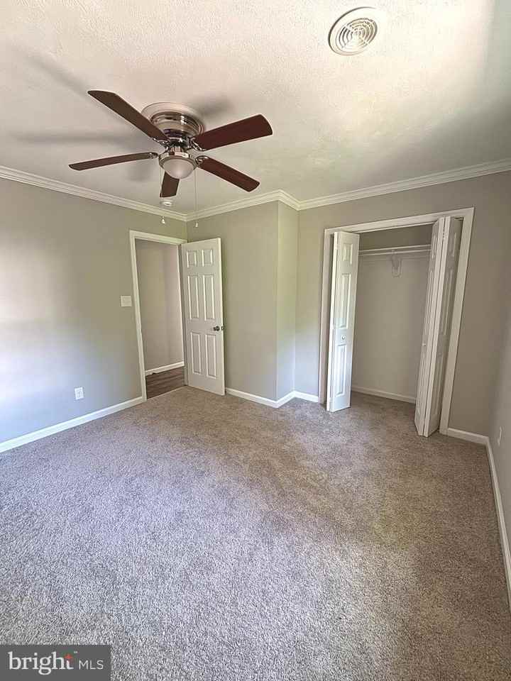 3315 Cliff Trail - Photo 7 of 9