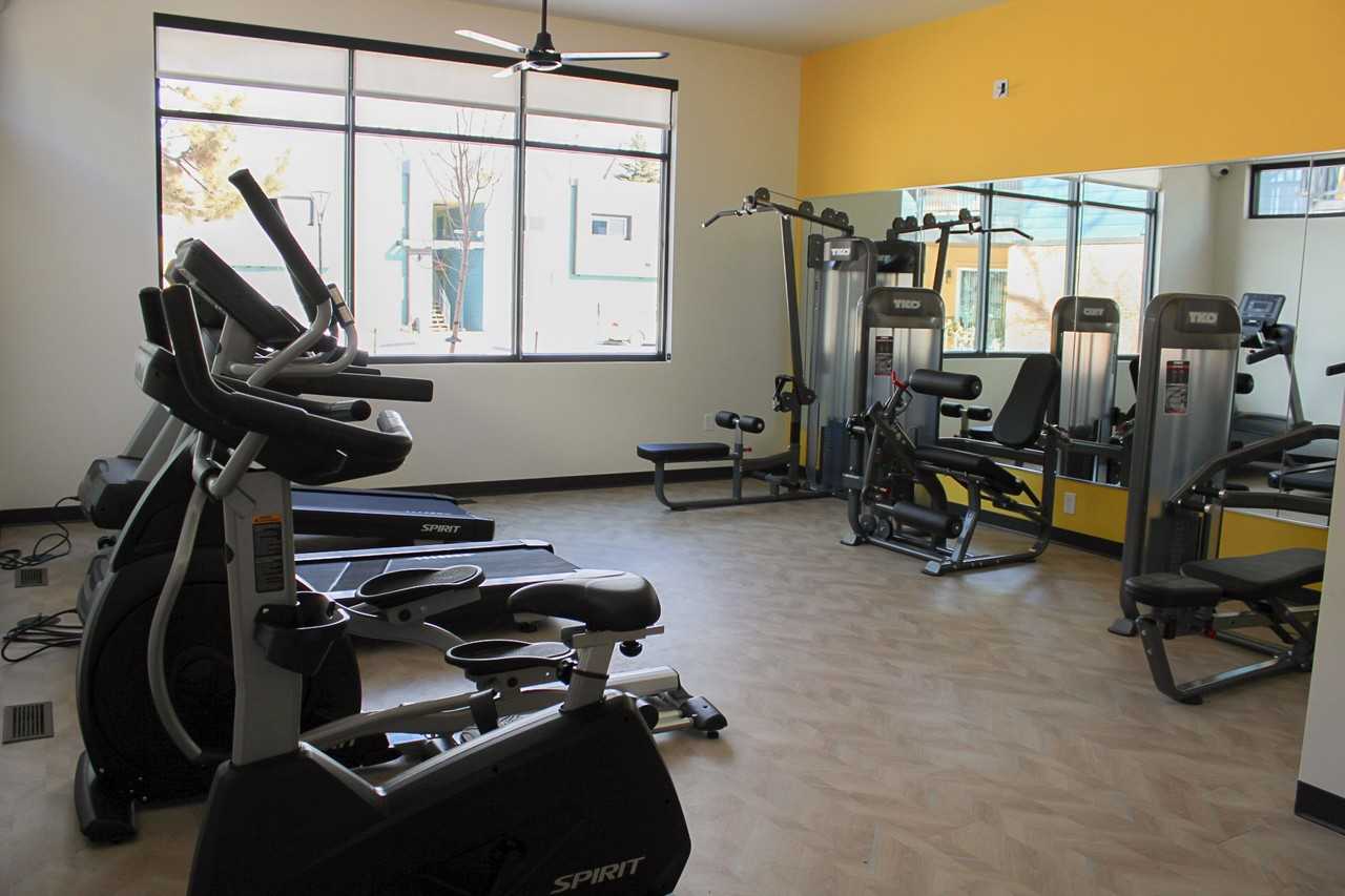 Belmar Groves - Photo 4 of 6