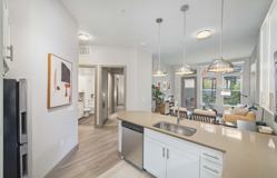 MAA River North - Photo 1 of 1