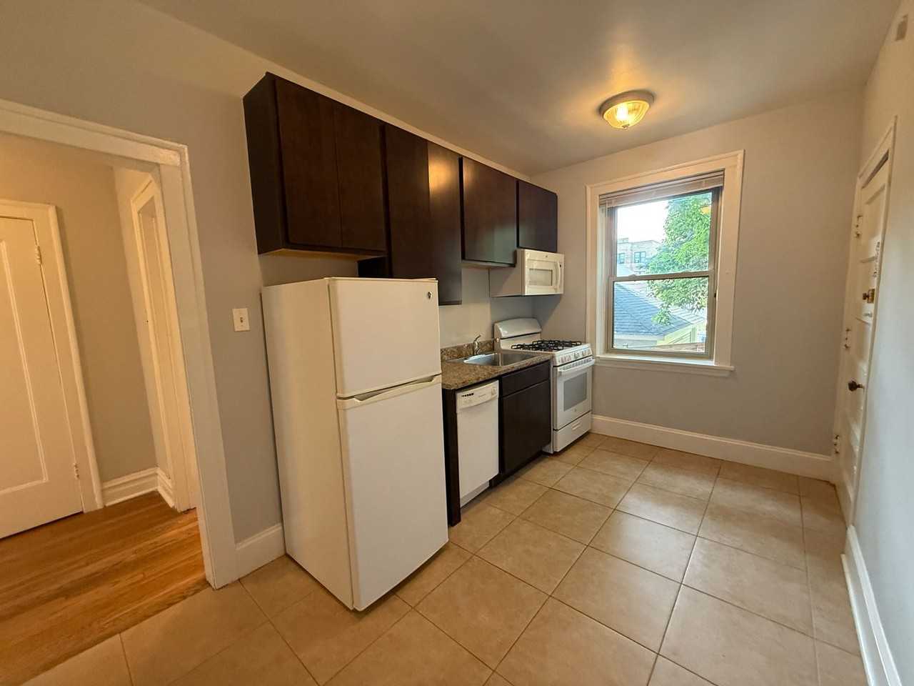 Beautiful Vintage Apartments Near NorthShore Evanston Hospital - Photo 4 of 16