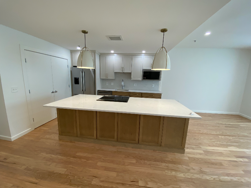 234 Causeway St #1108 - Photo 3 of 13