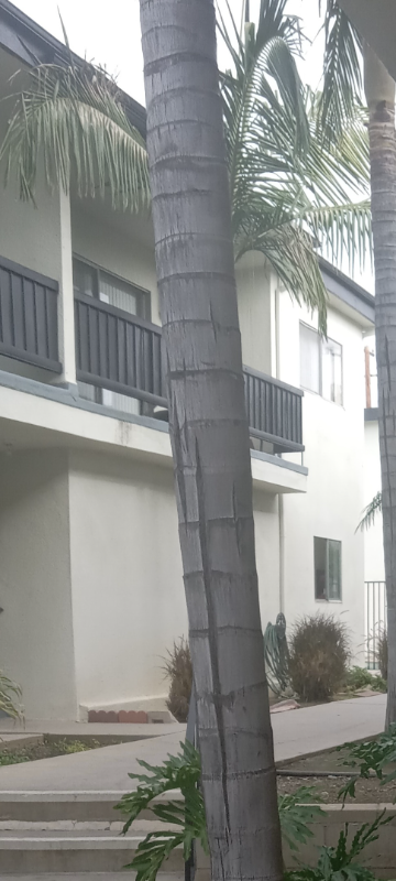 10726 Orange Grove Ave #16