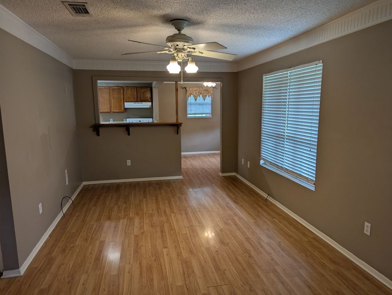 313 Timic Dr - Photo 3 of 18