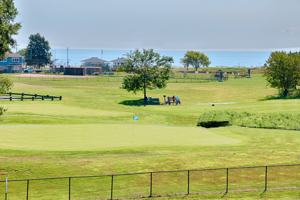 featured image of 155 Short Beach Rd #311