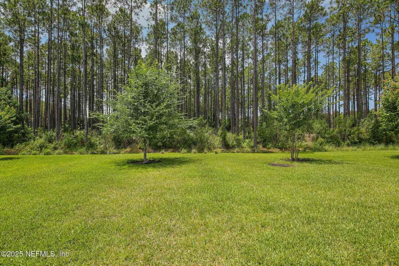 102 Havencrest Ave - Photo 4 of 50