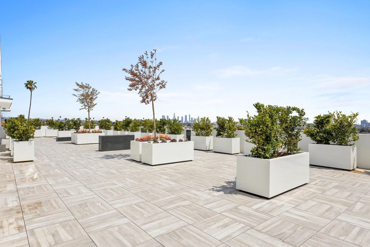 La Vida Melrose - Photo 3 of 19