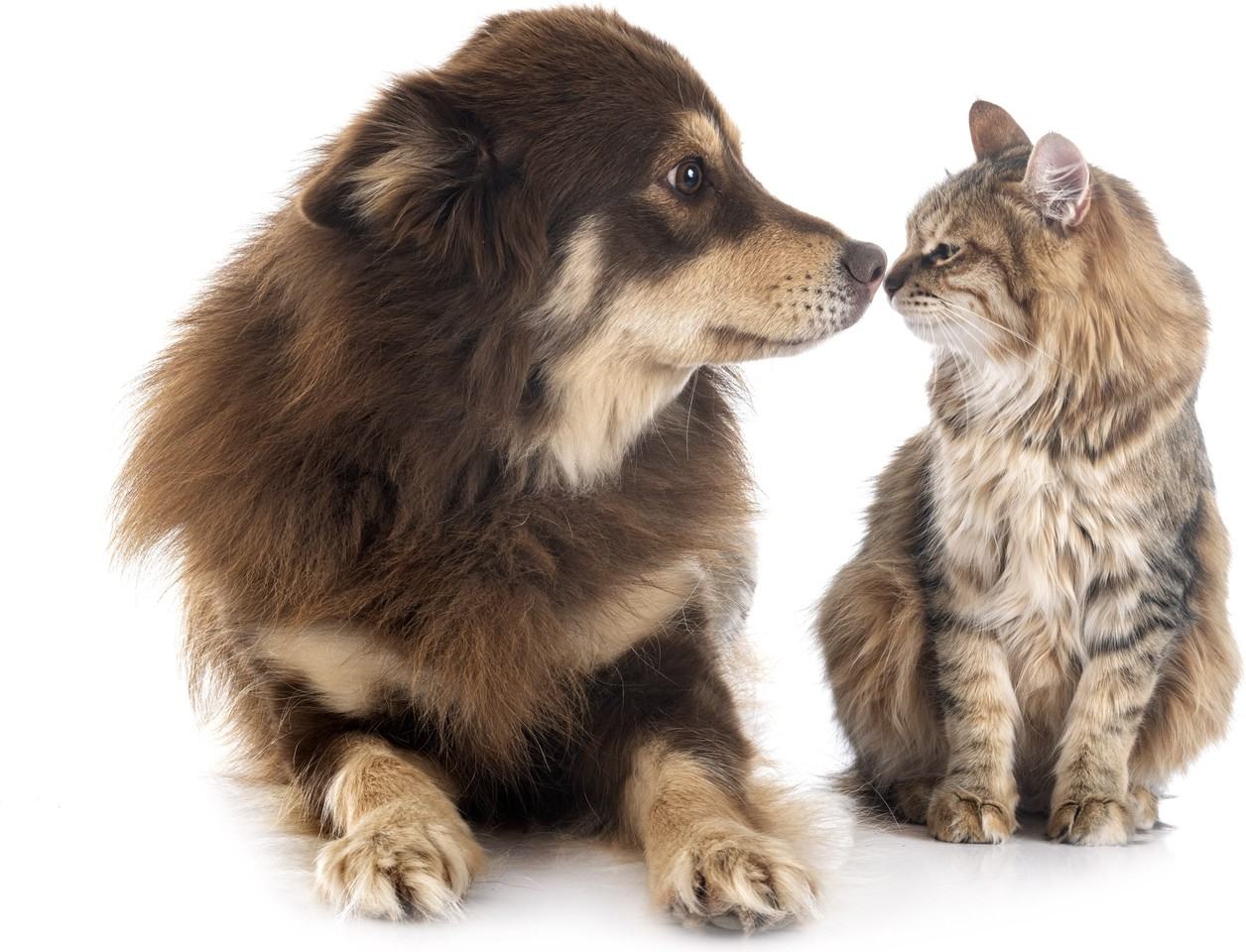 Boulder Creek Apartments - Photo 6 of 13