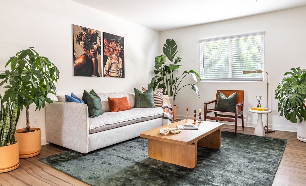 Canopy East Lake Apartments - Photo 7 of 24