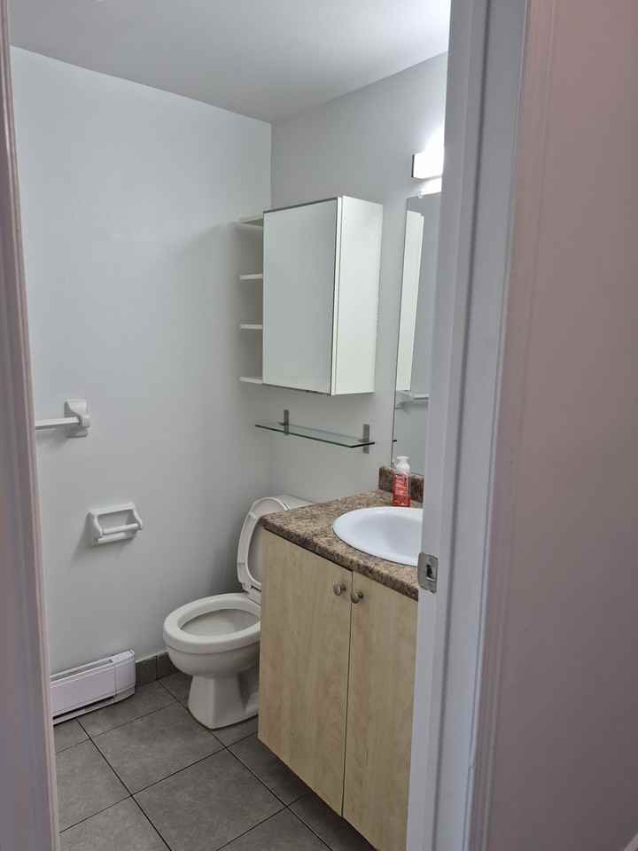 3986 Rue de Bullion #3986 - Photo 6 of 16