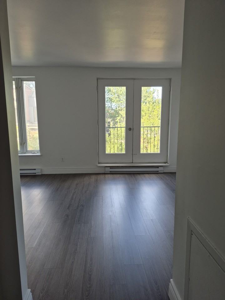 3986 Rue de Bullion - Photo 12