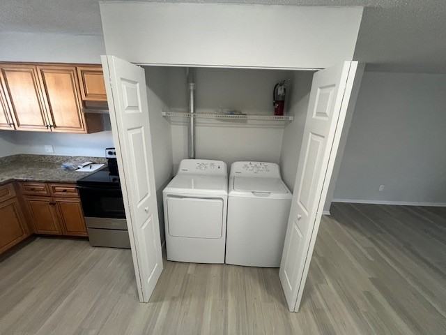 6909 Karin Court - Photo 4 of 20