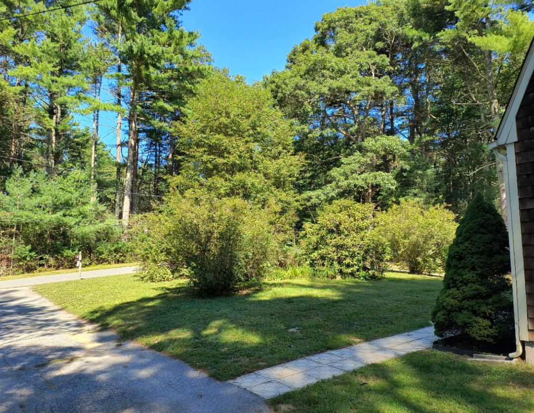 19 Hawksbill Way #A - Photo 3 of 13