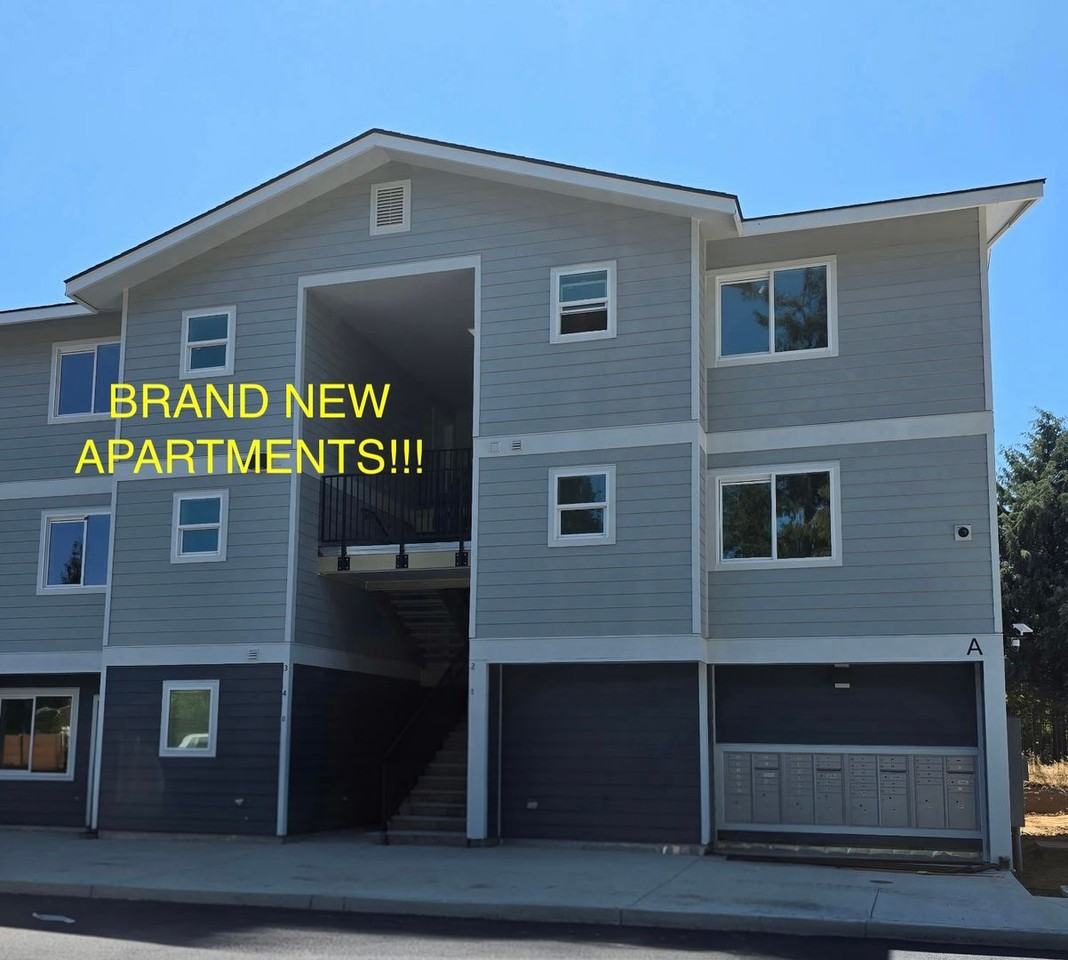 Bella Meadows - Photo 4 of 19